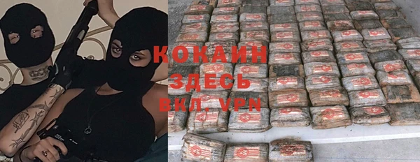 твердый Вязьма