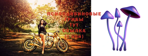 бошки Володарск